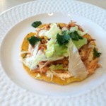 Mexican Shredded Chicken